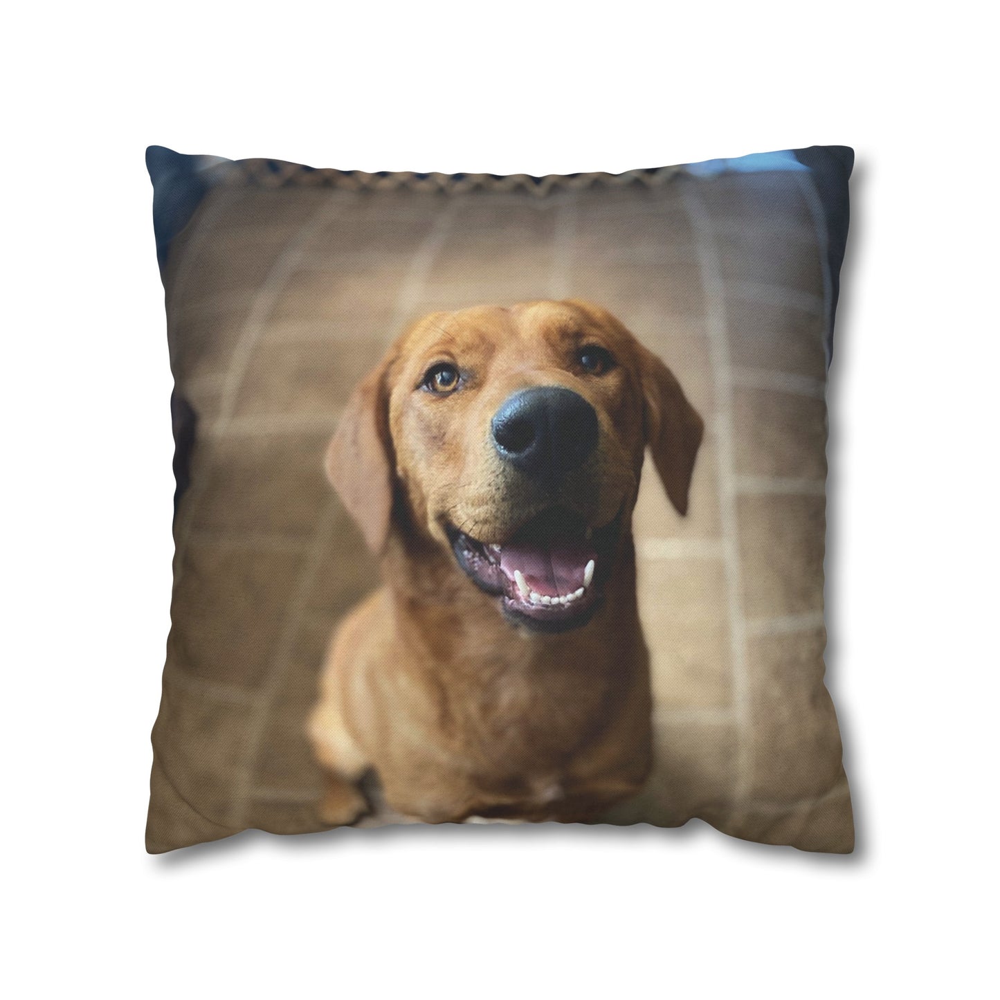 Personalized Pet Pillow 2 Sided