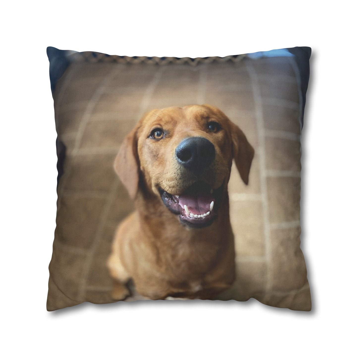 Personalized Pet Pillow 2 Sided
