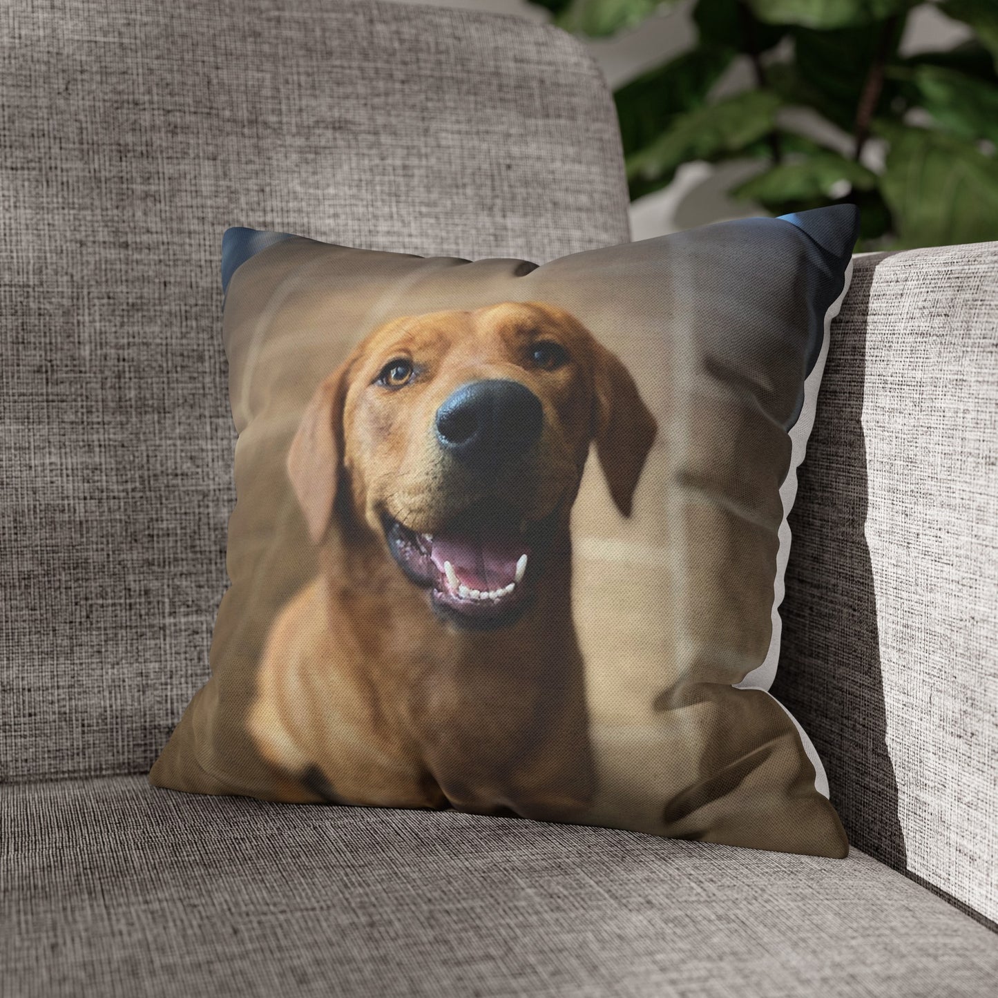 Personalized Pet Pillow 2 Sided